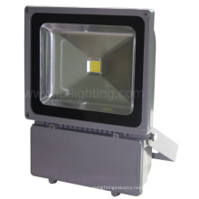 80W COB LED Tunnel Flood Light (JP83780COB)